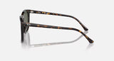 Ray-Ban Havana Square Sunglasses with Green Lenses