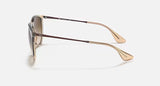 Ray-Ban Erika Transparent Light Brown Sunglasses