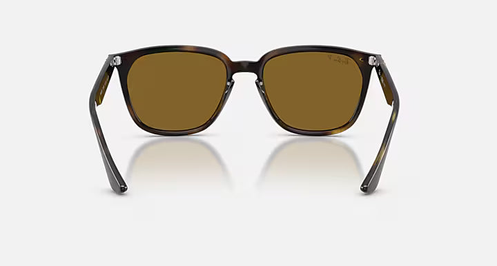 Ray-Ban Havana Frame w/ Polarized Brown Lenses
