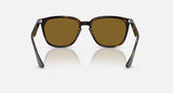 Ray-Ban Havana Frame w/ Polarized Brown Lenses