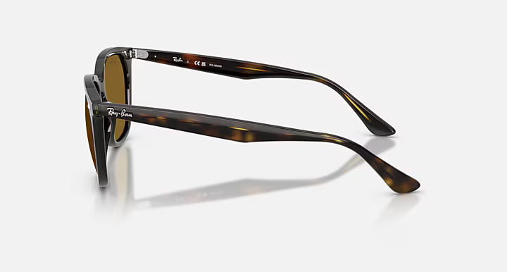 Ray-Ban Havana Frame w/ Polarized Brown Lenses
