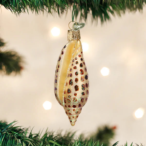 Old World Christmas Junonia Shell Ornament