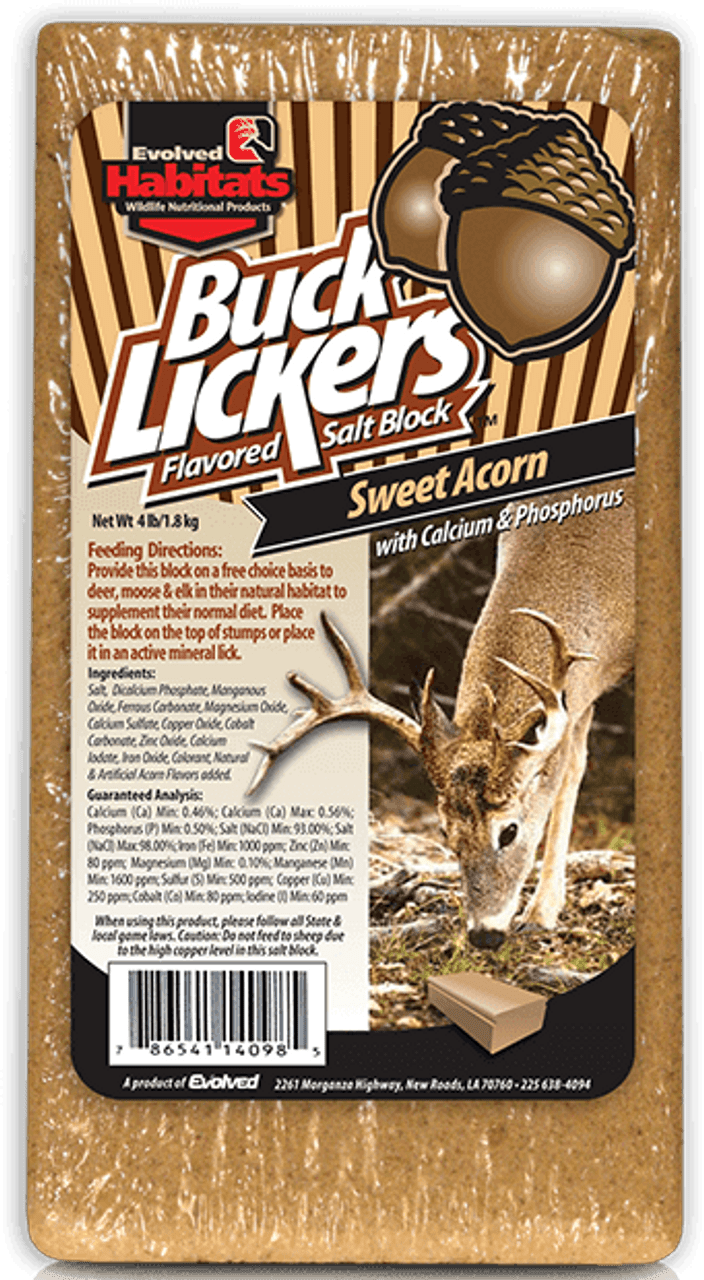 Evolved Buck Lickers Acorn Salt Block Neuse Sport Shop