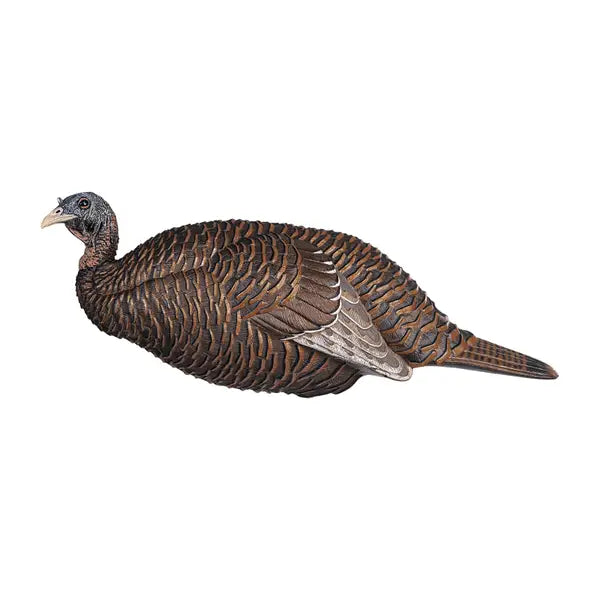 Avian X Decoys Thunder Chick Breeder Turkey Decoy