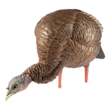 Avian X Decoys HDR Feeing Hen Decoy