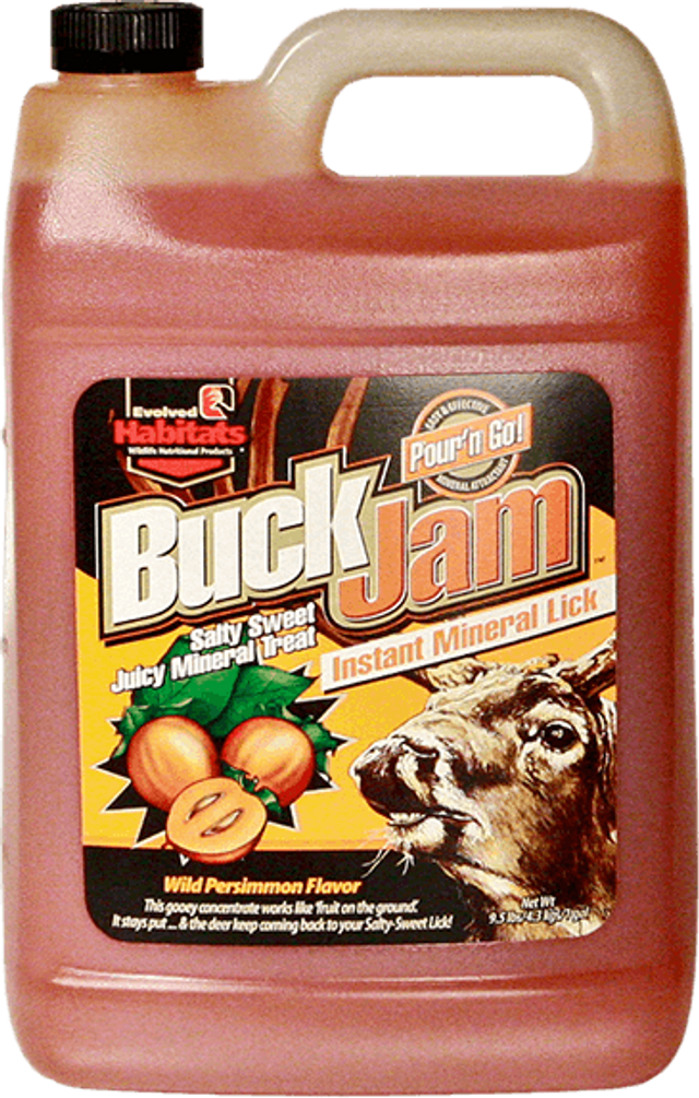 Evolved Buck Jam