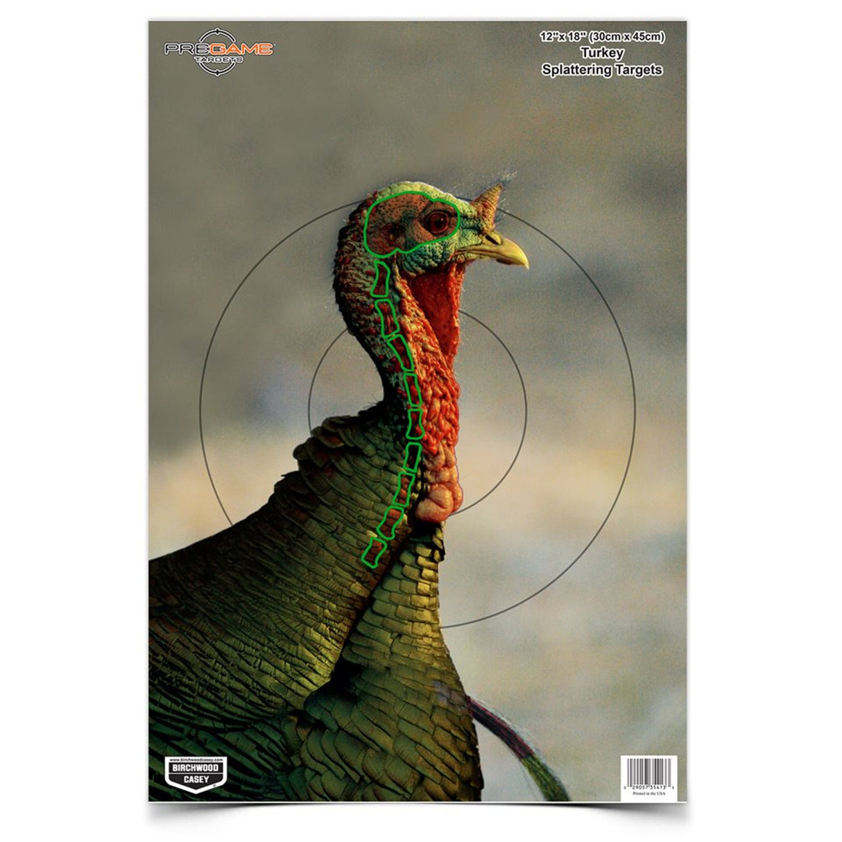 PREGAME 12 x 18 Inch Turkey, (8 Targets)