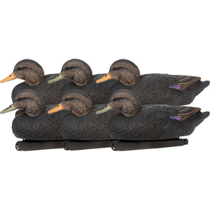 Duck Decoys