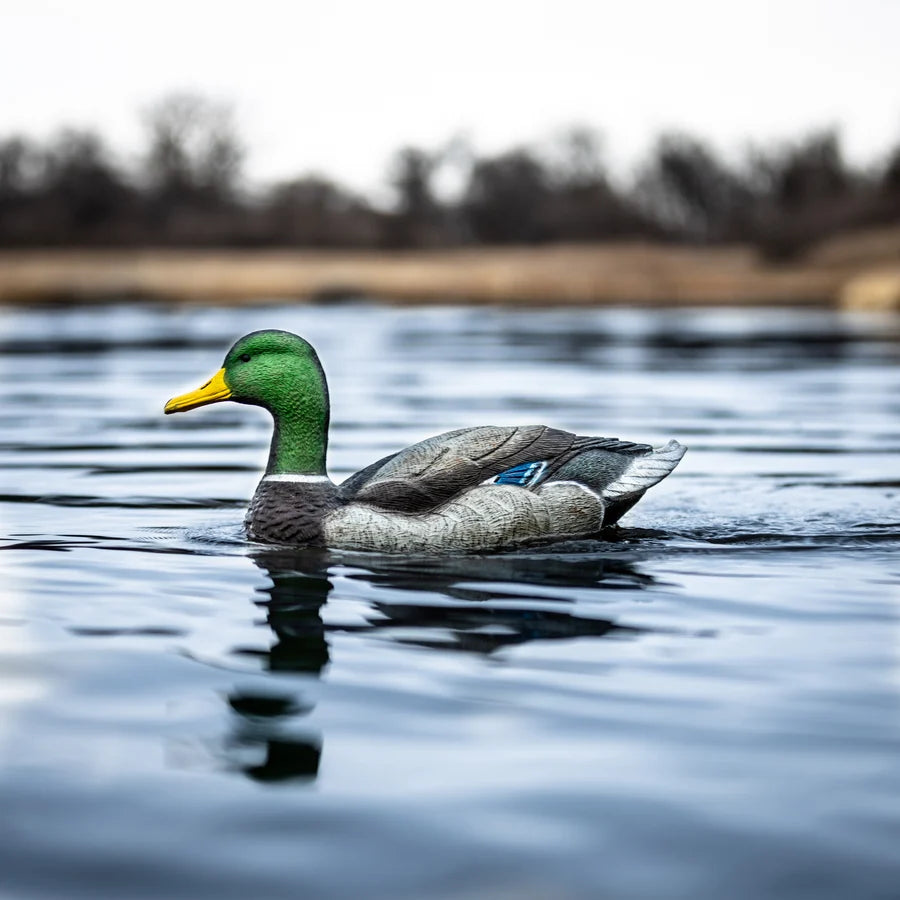 Lucky Duck Lucky HDI Super Swimmer 2.0