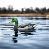 Lucky Duck Lucky HDI Super Swimmer 2.0