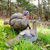 Avian X Decoys 1/2 Strut Jake