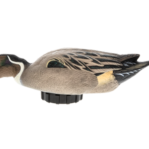 Duck Decoys