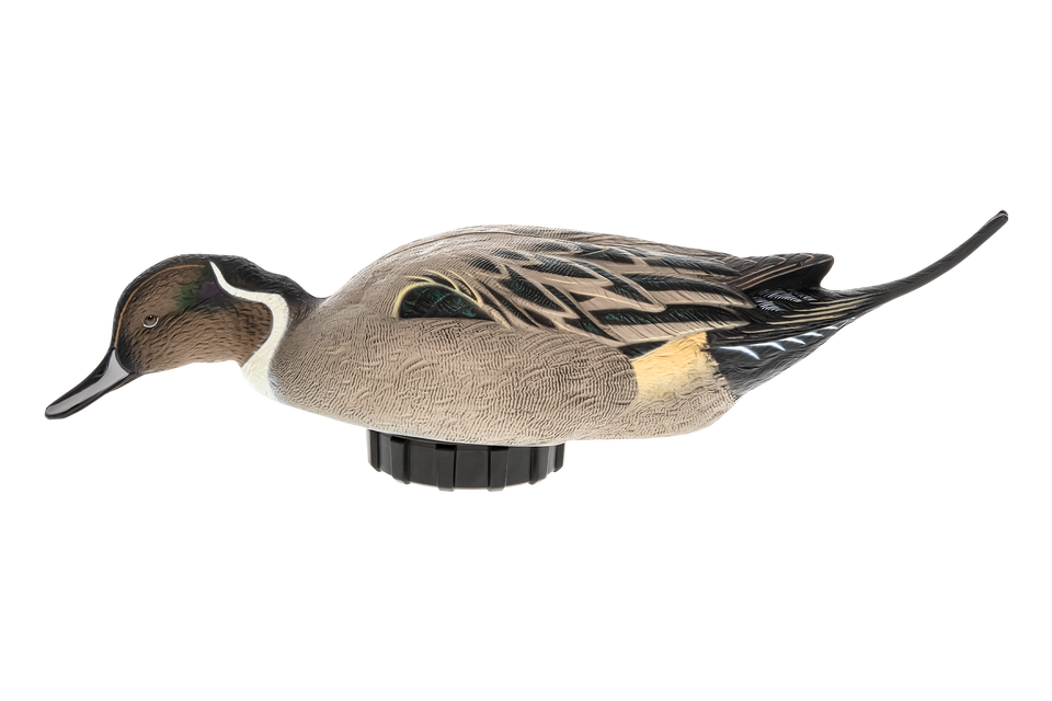 Avian-X Power Shaker Pintail Motion Duck Decoy