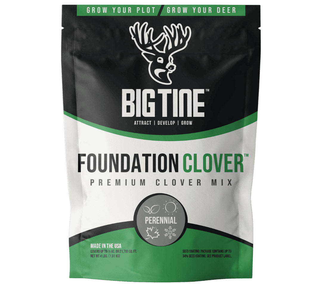 Big Tine Foundation Clover