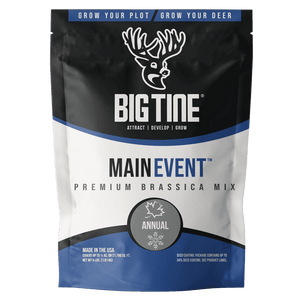 Big Tine