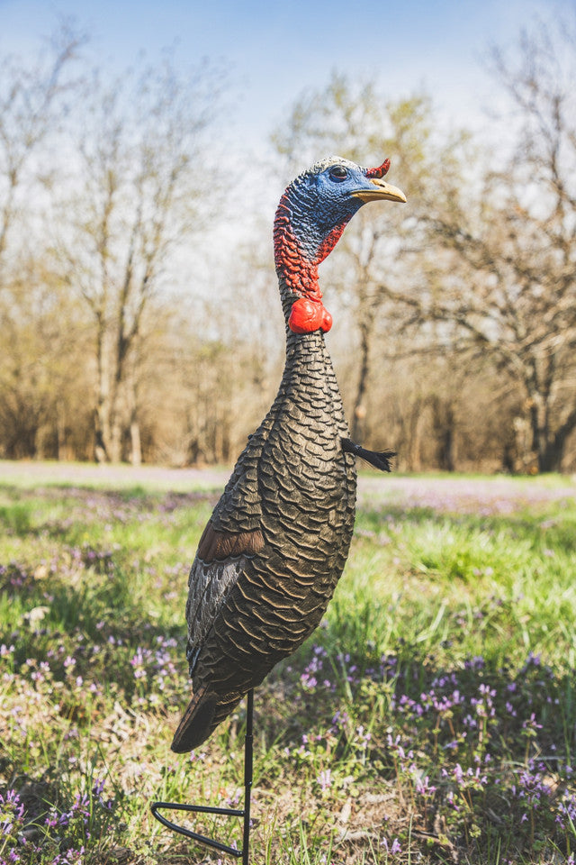 Flextone Funky Chicken Gen 2