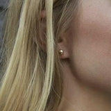 Enewton Classic 6mm Ball Studs - Gold