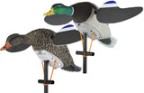 Lucky Duck Lucky Pair II