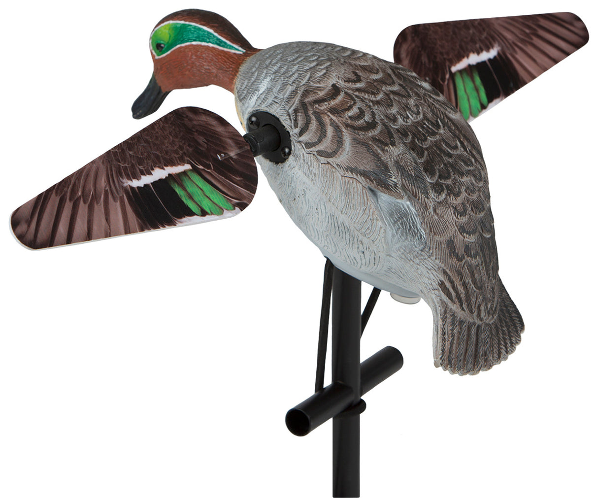 Lucky Duck Lucky Teal HD