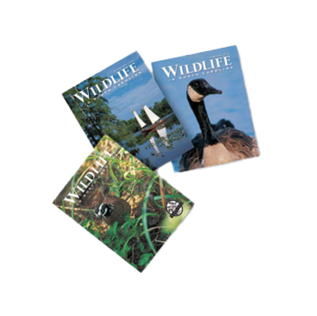 North Carolina Wildlife Magazine