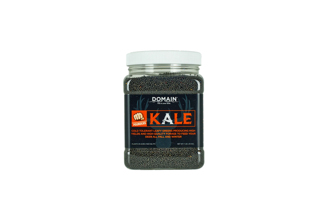Jar of Domain Kale powder on a white background