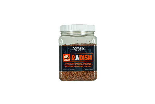 Jar of Domain Radish seeds on a white background