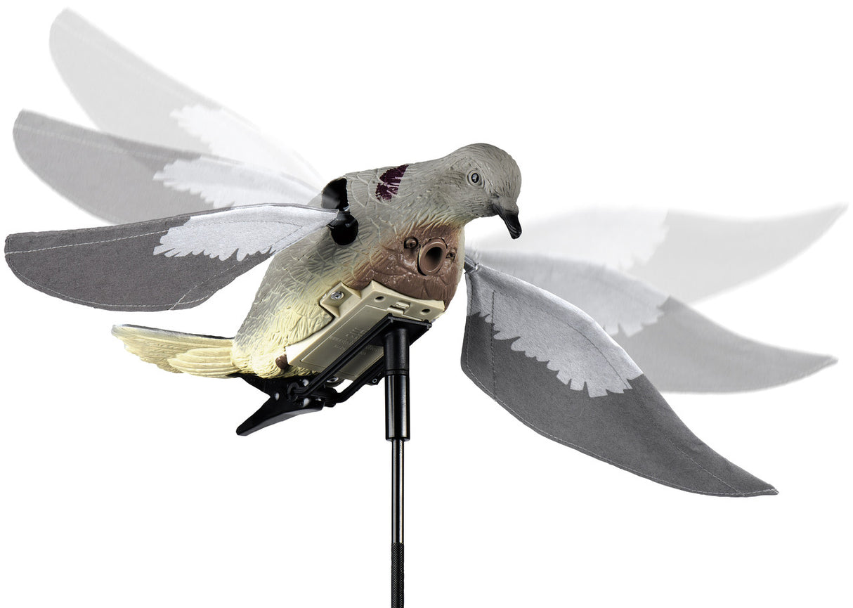 Model of a pigeon with white wings on a stand against a white background