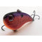 Baits & Tackle