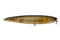 Baits & Tackle
