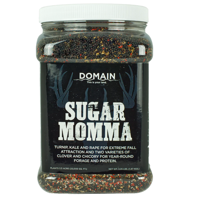 Jar of Domain Sugar Momma product on a white background