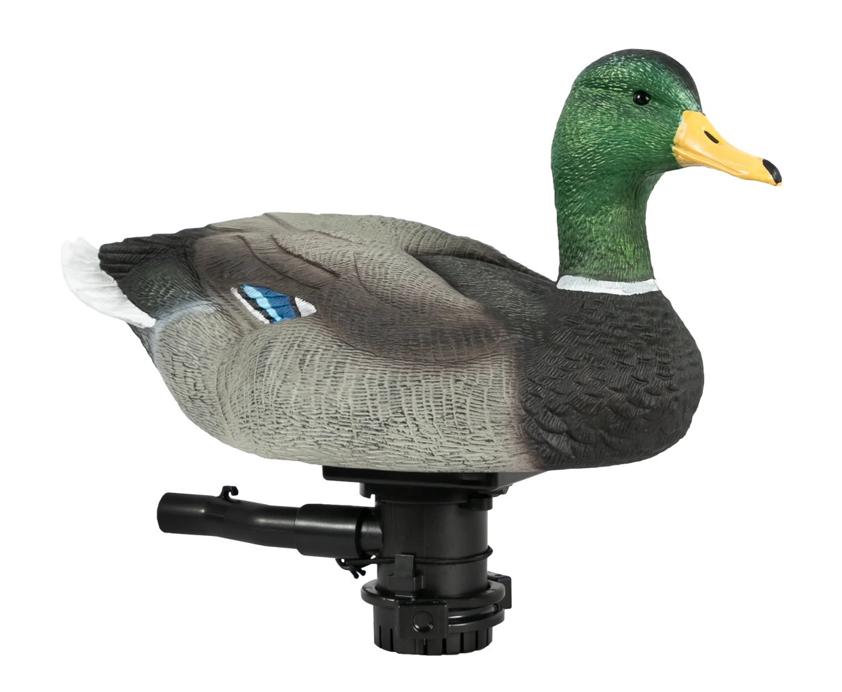Lucky Duck Lucky HDI Super Swimmer 2.0