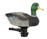 Lucky Duck Lucky HDI Super Swimmer 2.0