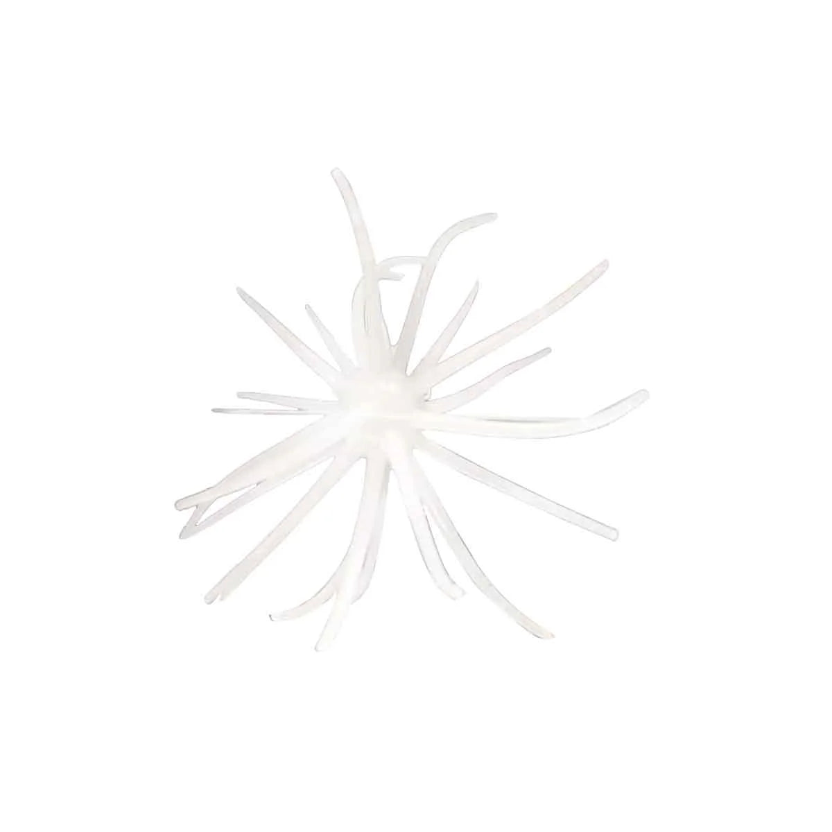 The Hag's Prickly Pear - 19mm Bait- Texas Starlight