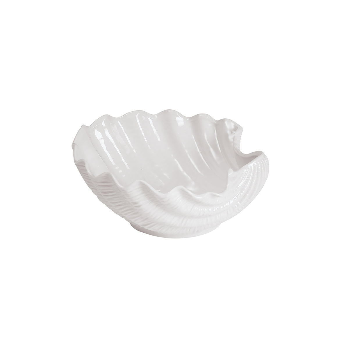 Beachcombers Coastal Life Stoneware White Shell Bowl