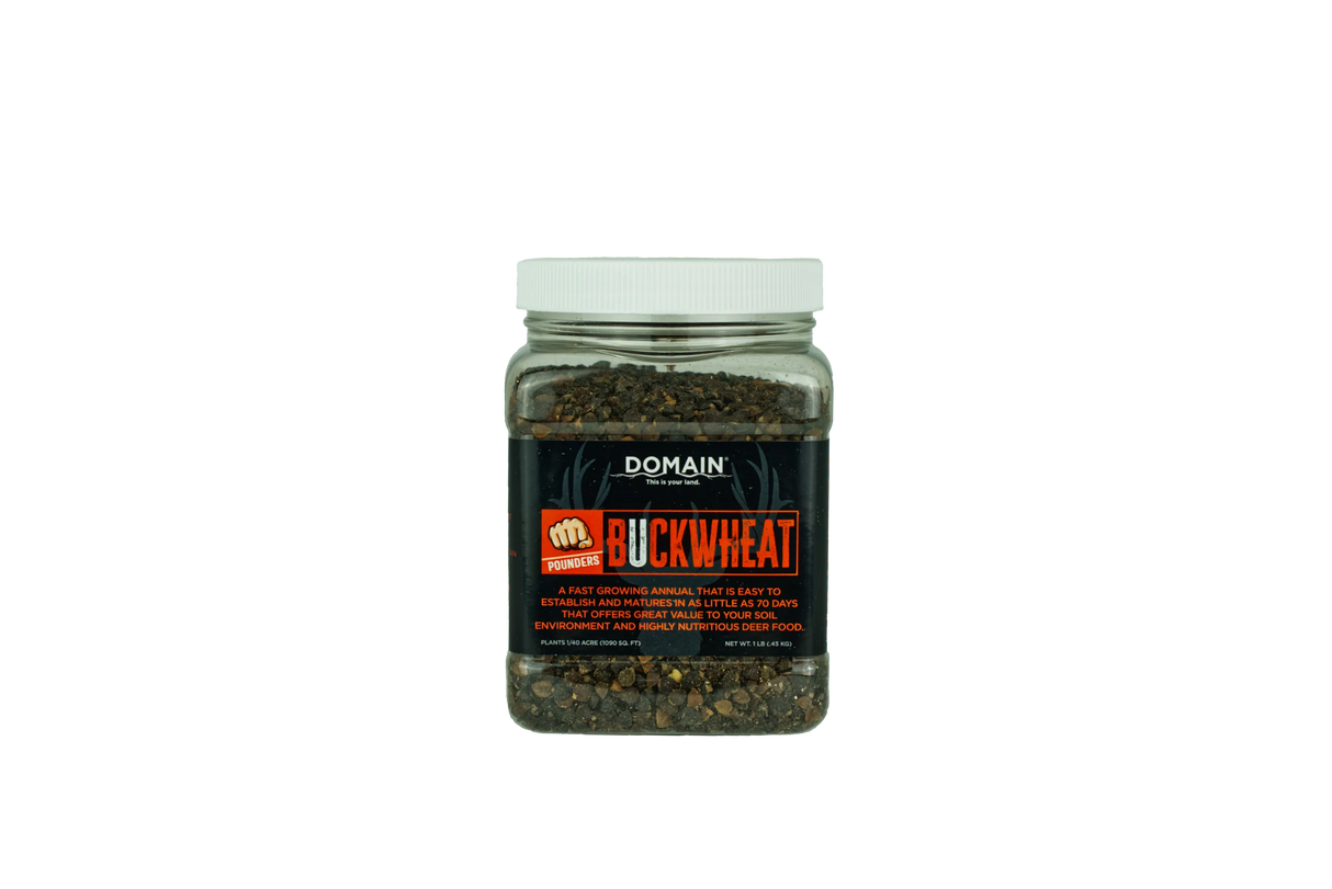 Jar of Domain Buckwheat on a white background