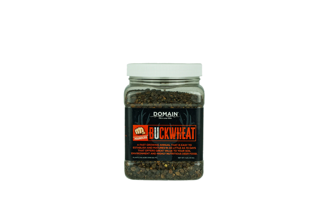 Jar of Domain Buckwheat on a white background
