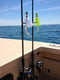 Baits & Tackle
