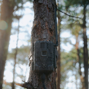 Stealth Cam