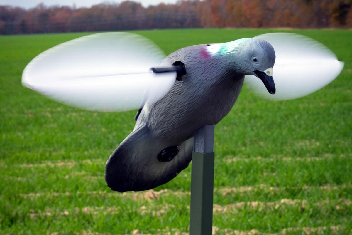 MOJO Pigeon Decoy