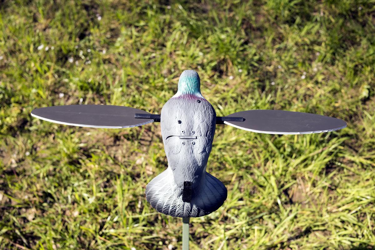 MOJO Pigeon Decoy