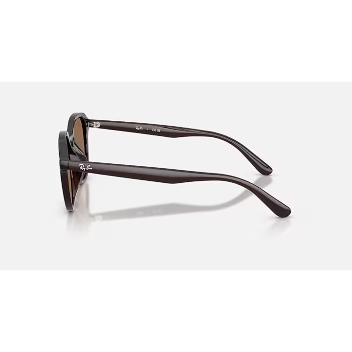 Ray-Ban Opal Brown With Dark Brown