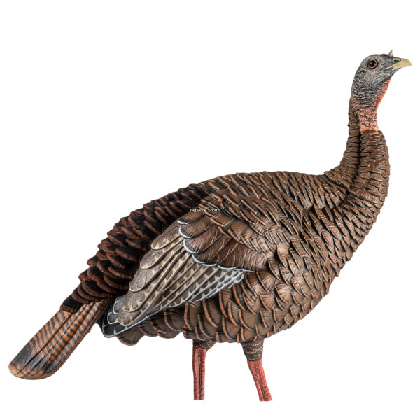 Avian-X AVX8106 HDR Hen Turkey Decoy  2 Removable Heads  Integrated Stake  Decoy Bag