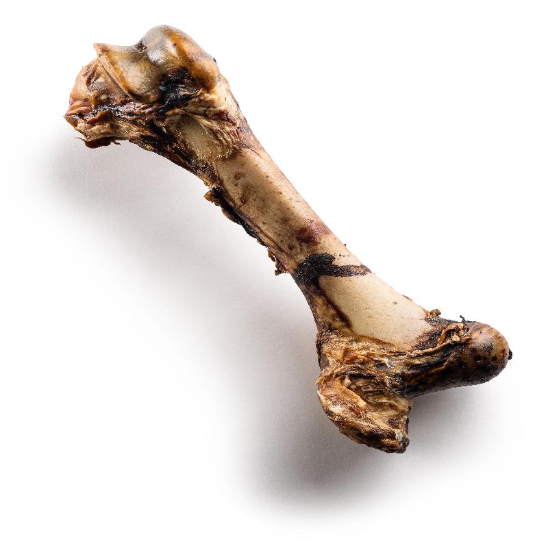 Jack&Pup Mammoth Bone - 16 Inch