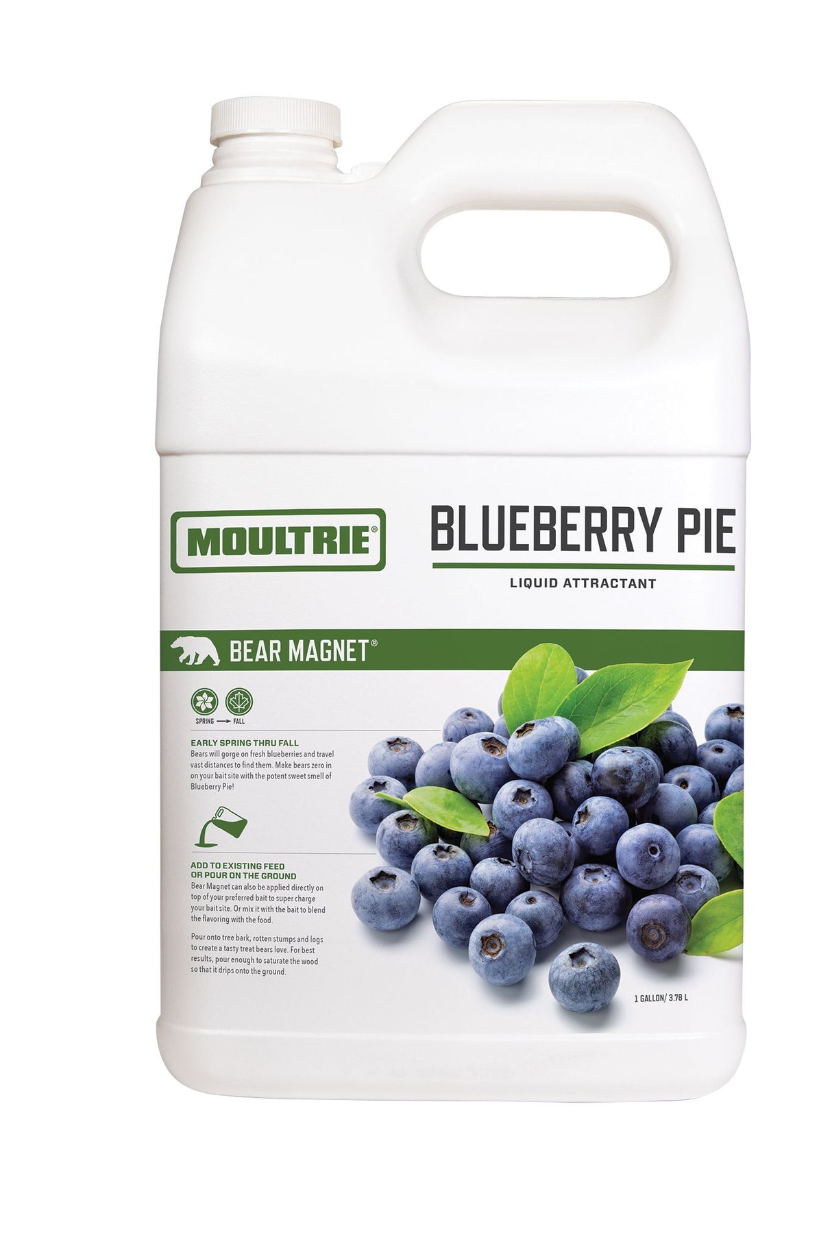 Moultrie Bear Magnet Blueberry Pie