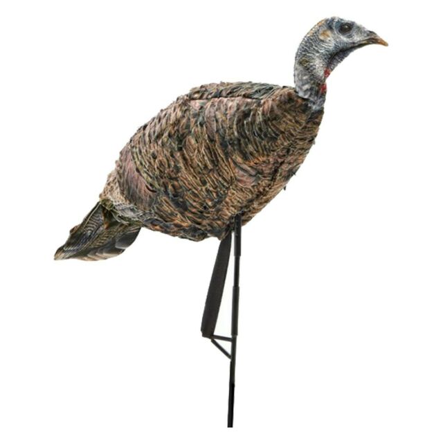 Montana Decoy New Miss Purr-Fect Xd  3d Hen